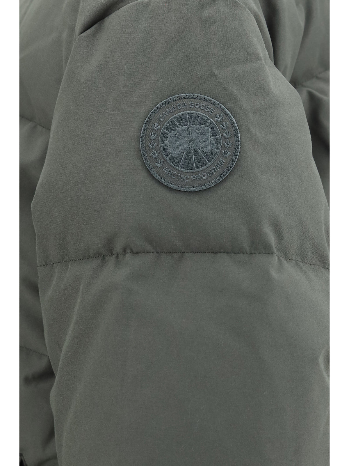 Canada Goose Seymour padded Parka - Khaki Haze-Brume Khaki