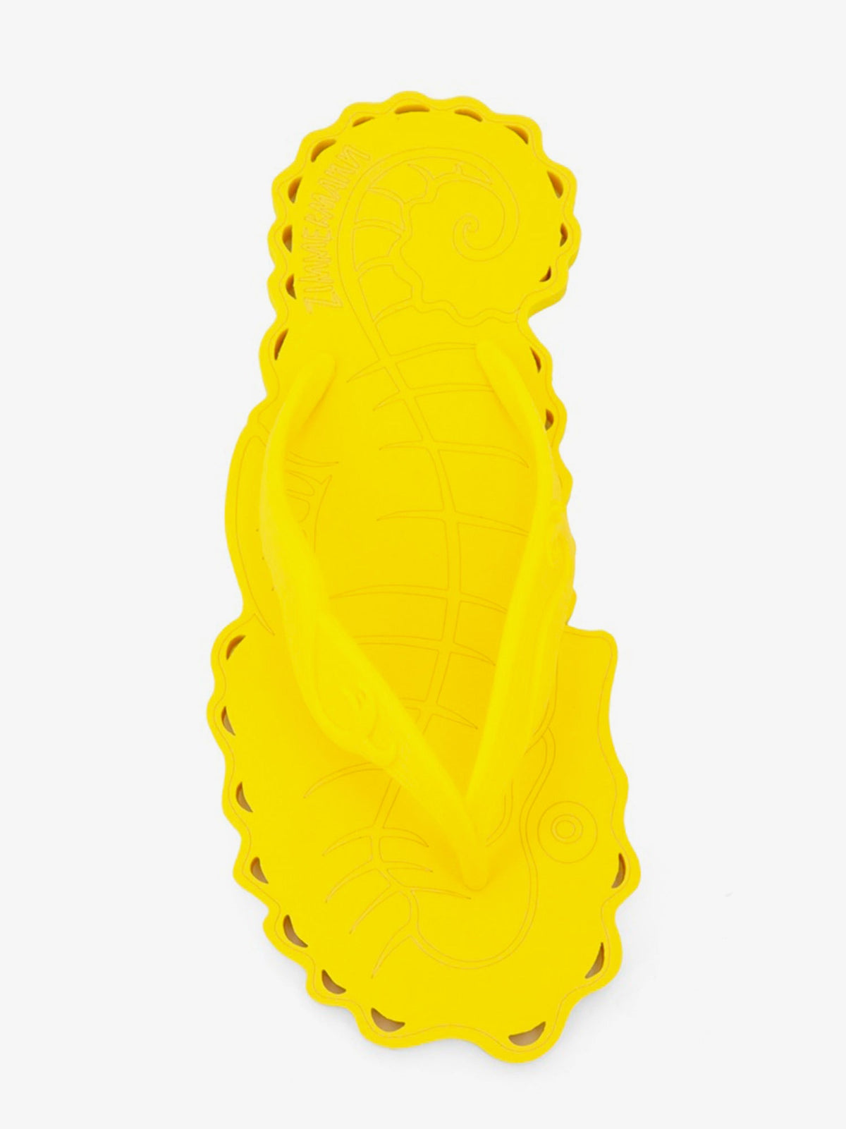 Zimmermann Seafoam Thong Rubber Flip Flops - Sunset