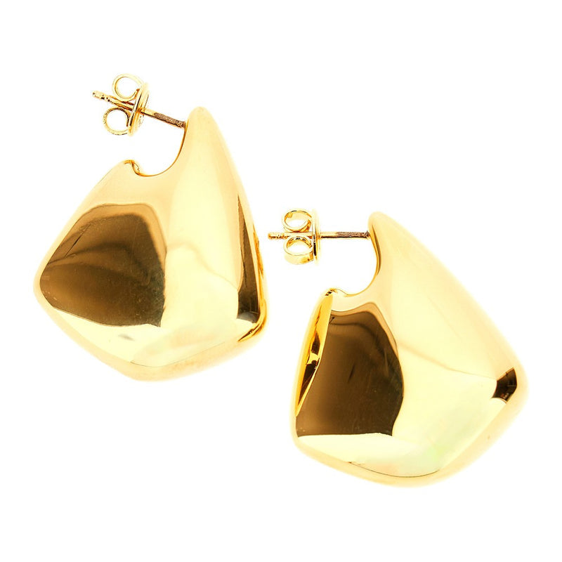Bottega Veneta Fin earrings