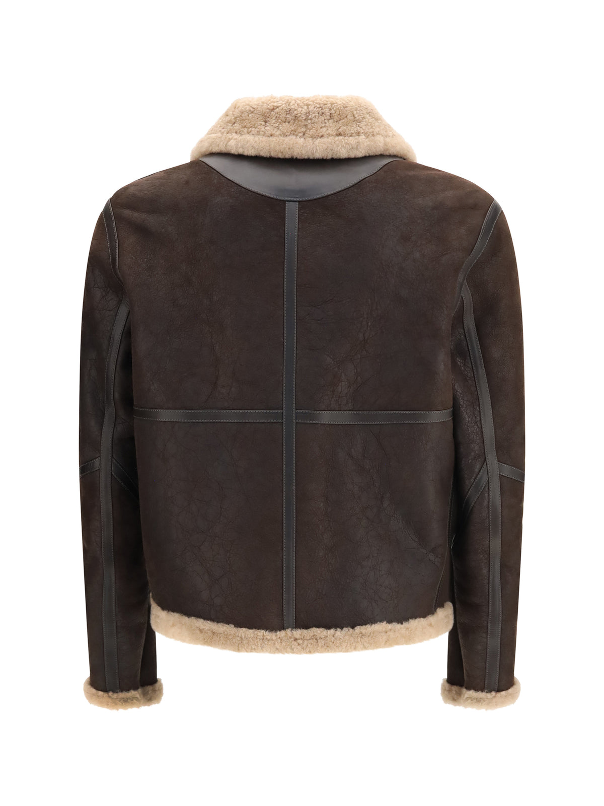 Belstaff Winterbrook Jacket - Dark Brown/Navy