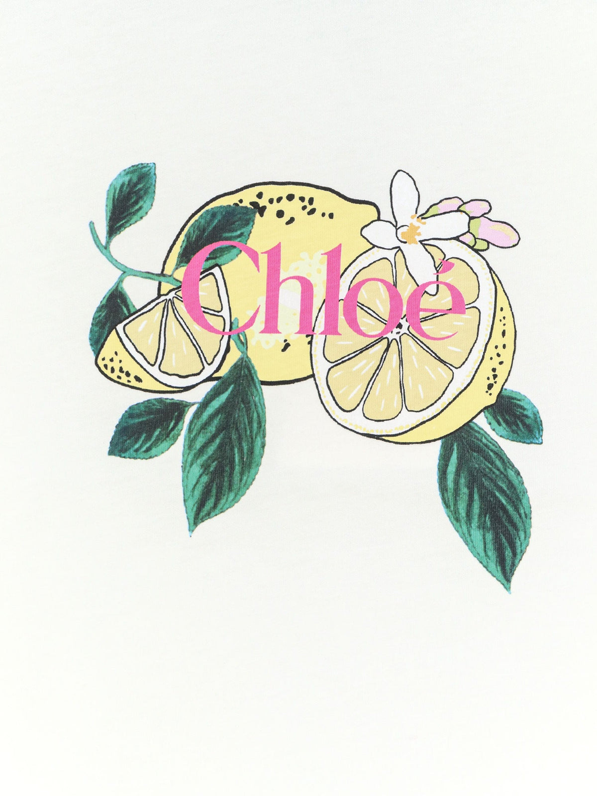Chloé Cotton T-shirt - Iconic Milk