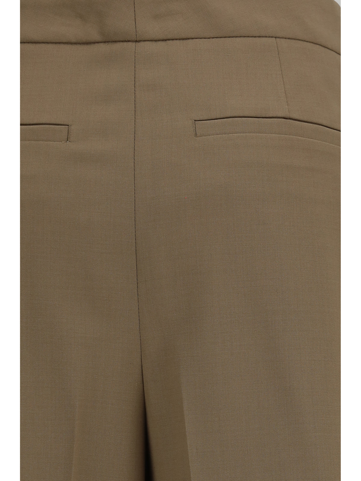 Lardini Pleated Pants - 420