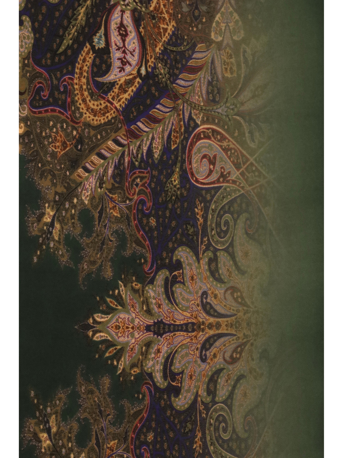 Etro Orfeo modal Scarf - Printed F.Do Green