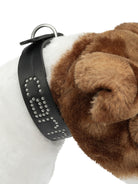 Carhartt WIP "Script Studs" Dog Collar - Black