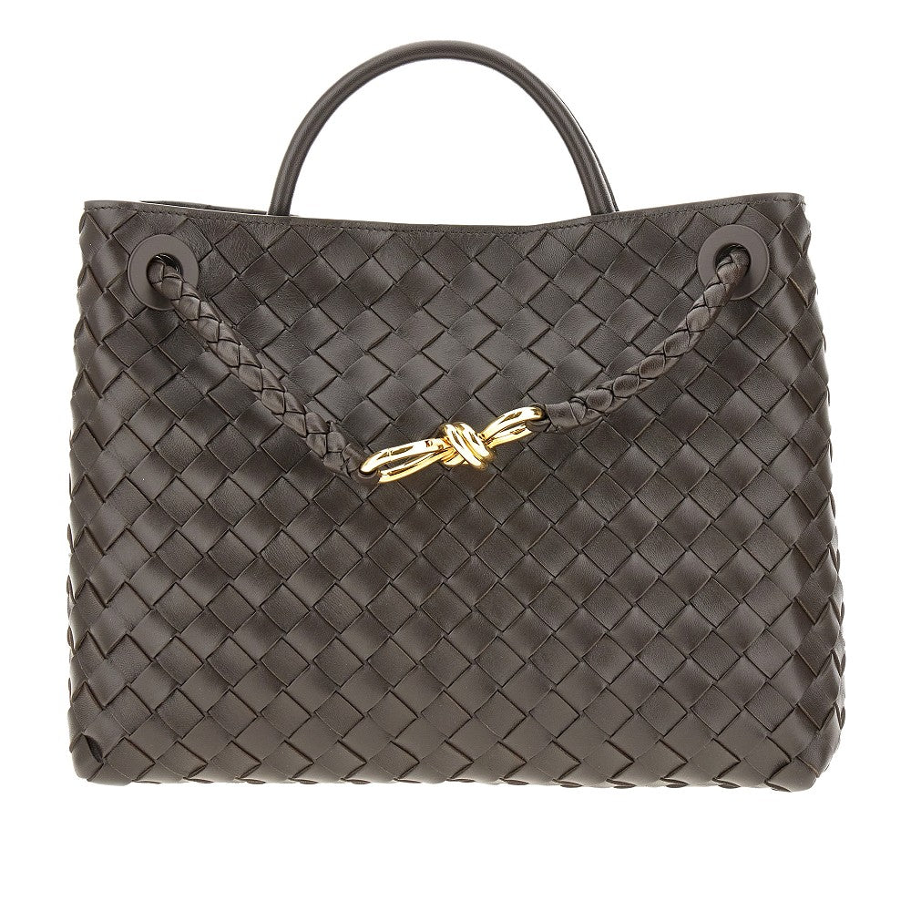 Bottega Veneta Medium 'Andiamo' bag